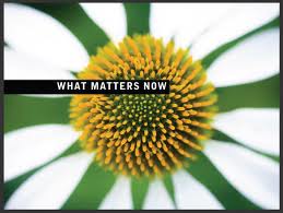 what matters flower